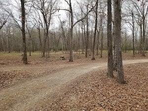 Crystal Forest wedding and event venue place picture