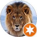 Steven R. profile picture