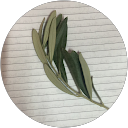 Sundus A. profile picture