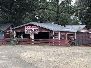 Hochatown Rescue Center & Petting Zoo place picture