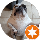 Scott B. profile picture