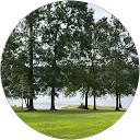 Tabitha L. profile picture