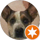 Lynnette D. profile picture