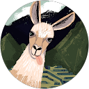 bturn41 profile picture