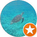 Timothy P. profile picture