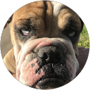 WESTON G L G profile picture